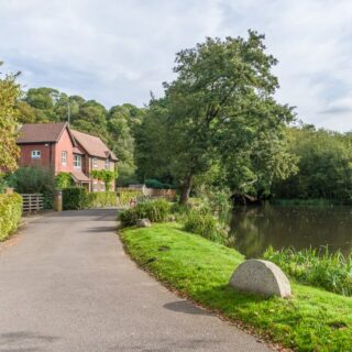 Devotional portrait of St. Martha